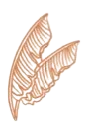 Decorativo 1